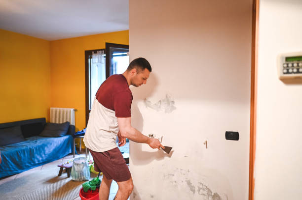Trusted Schuyler, NE Mold Remediation Experts